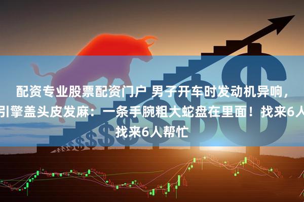 配资专业股票配资门户 男子开车时发动机异响，掀开引擎盖头皮发麻：一条手腕粗大蛇盘在里面！找来6人帮忙